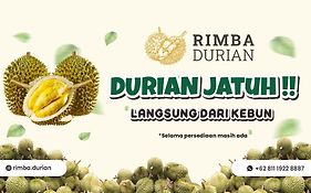 Fm7 Resort Hotel - Jakarta Airport